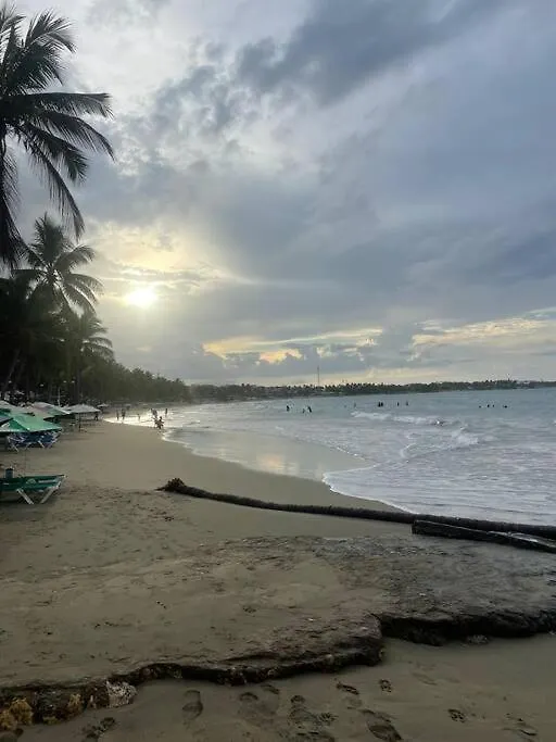Casa Palmera Encuentro Cabarete Comfort Y Naturaleza Cerca De Todo ドミニカ共和国